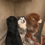 早上起不来