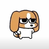 lly