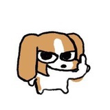 松月.