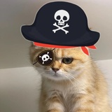 海盗猫