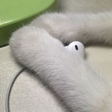 ᕕ无何有之乡ᕗ