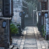 西府海棠