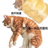 一条小鱼干