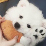 可爱修勾