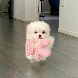这是一个昵称