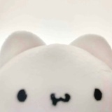 潮打空城寂寞回