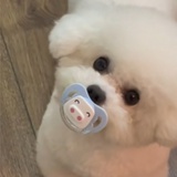 噢越耶越美丽