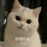 吃瓜看戏