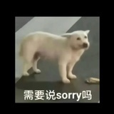 今天也要摸鱼