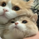 最最