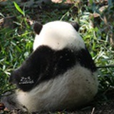 醉沉沉