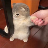 豆友k9dIwFktu4