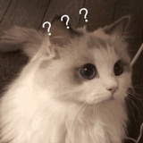 阿拉索