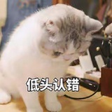 别再🈲️我了