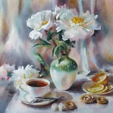 菀洳姐姐