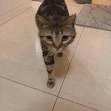 ixxxx
