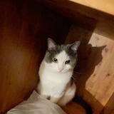 海水绿