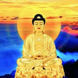 今年一定要上岸