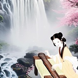室白