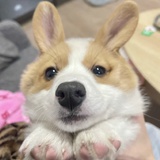 豆友7653740773