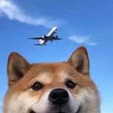 呆毛小新