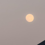 豆友SgNAq0LEQI