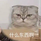深咖背带裤