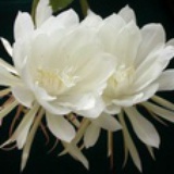 三郎