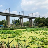 遁遁