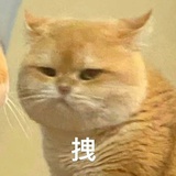 甘梅粉