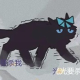 卢瀚文（成年版