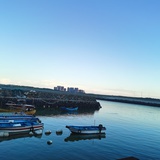 民宿管家……