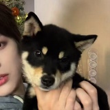 momo