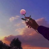菠萝没有蜜