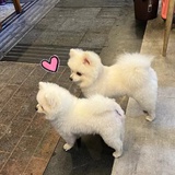 钉