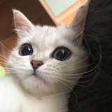 该用户没有昵称