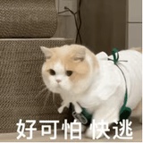 豆友35YyxT1LPU