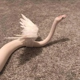 木汐