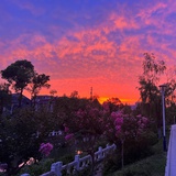 鱼鱼鱼