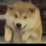 罐盅