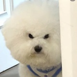 摇粒绒绒