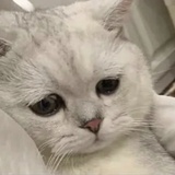 会好起来的