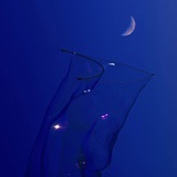 省点月光