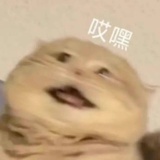 甜月亮
