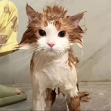 微信用户