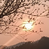 加油