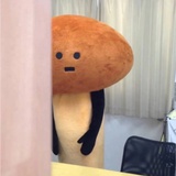 脑袋养鱼