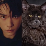 遇见猫舍