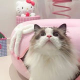 豆友萍📝