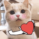 豆友